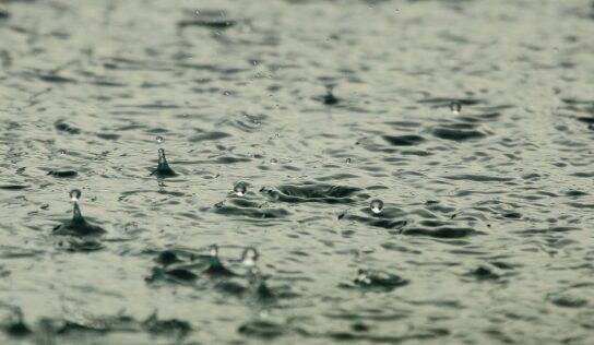Piscinas Lara: «En épocas de lluvia y calima hay que mantener un cuidado especial de la piscina»