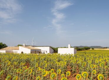 La ‘Casa de Campo’ de Zafra de Záncara (Cuenca), Premio COACM Arquitectura Obra Nueva Vivienda