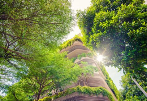 Arquitectura Integrativa impulsa la sostenibilidad arquitectónica en Barcelona