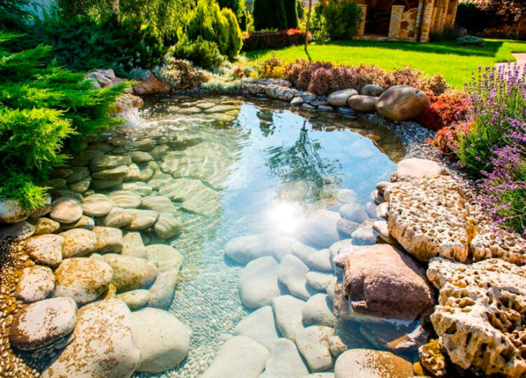 Diseño y creación de jardines personalizados