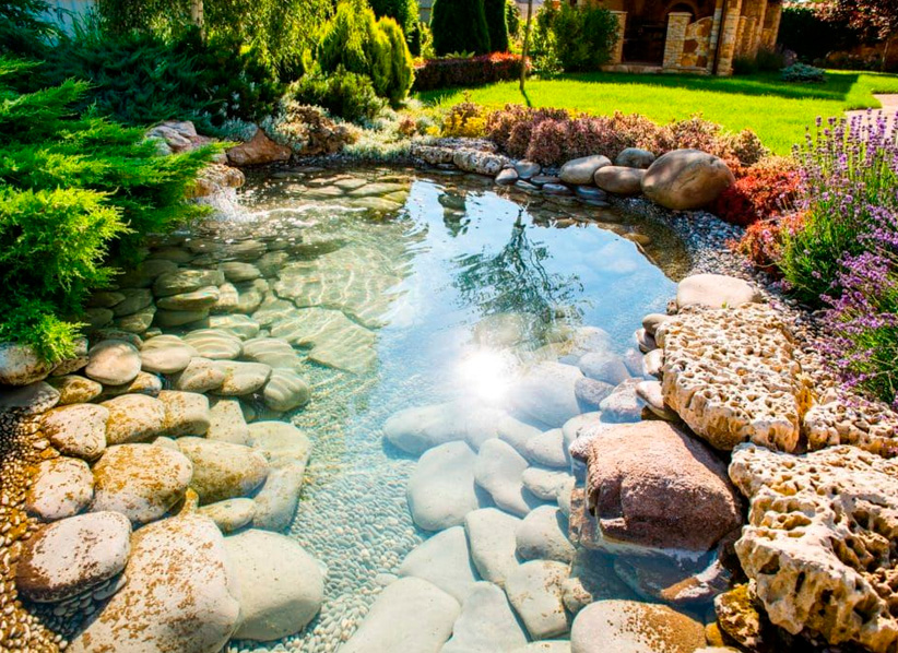 Diseño y creación de jardines personalizados