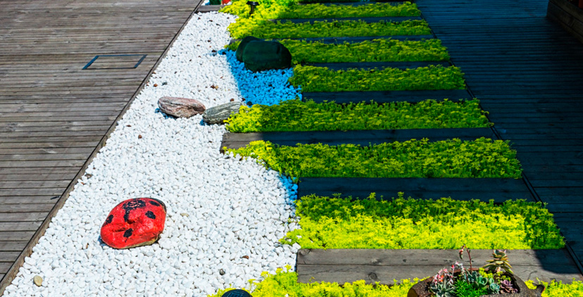 Más que plantas: elementos clave en el diseño