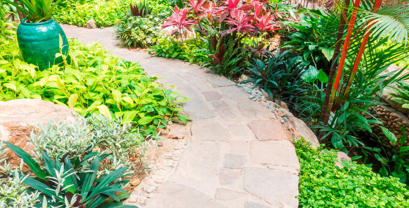 ¿Por qué diseñar un jardín con ayuda profesional?