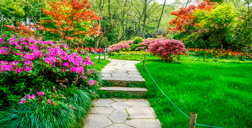¿Sabías que existe la jardinería sensorial?