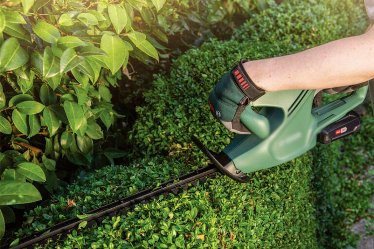 ¿Sabías que podar árboles puede aumentar el valor de tu casa?
