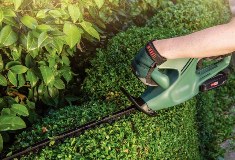 ¿Sabías que podar árboles puede aumentar el valor de tu casa?
