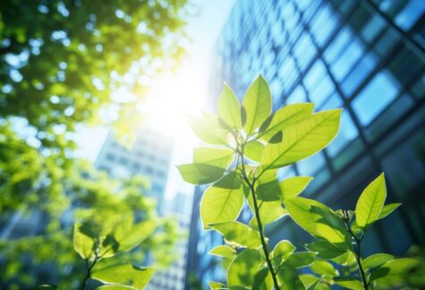 HUMEX refuerza su compromiso con la sostenibilidad para un hogar más responsable y respetuoso con el planeta