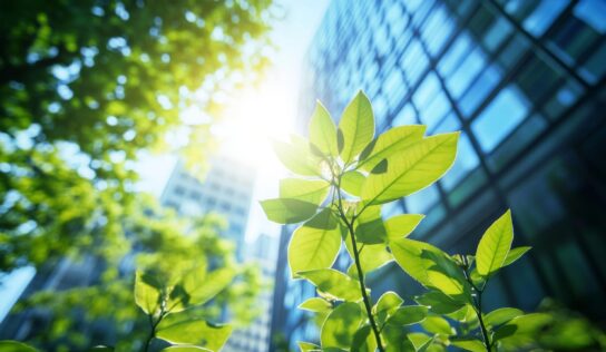 HUMEX refuerza su compromiso con la sostenibilidad para un hogar más responsable y respetuoso con el planeta