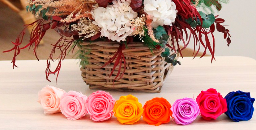 Aplicaciones y usos ideales Aplicaciones y usos ideales