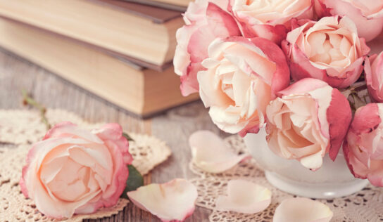 Cómo se hacen las rosas preservadas: del jardín a tu hogar por años