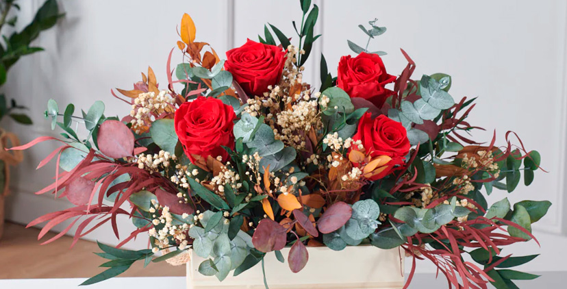 rosas preservadas rosas preservadas