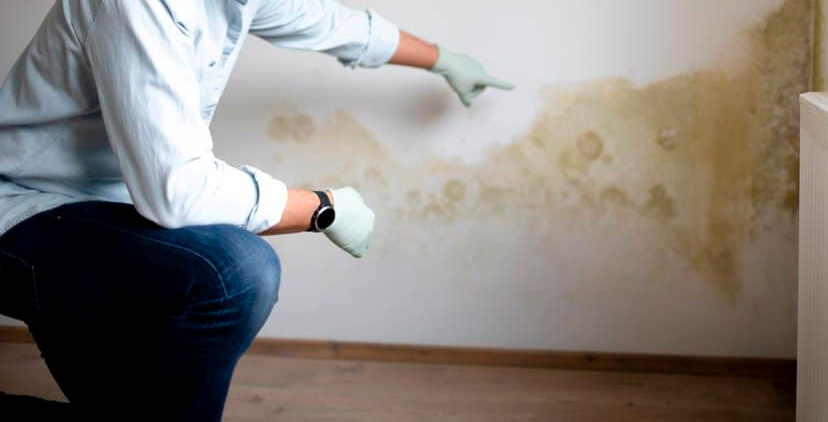 Diagnóstico técnico: la base de una intervención eficaz Diagnóstico técnico: la base de una intervención eficaz