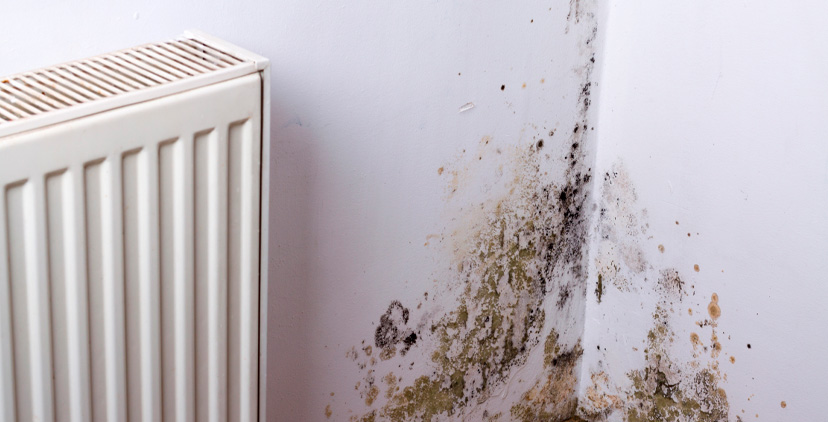 Humedad por condensación: el enemigo invisible del aire interior Humedad por condensación: el enemigo invisible del aire interior