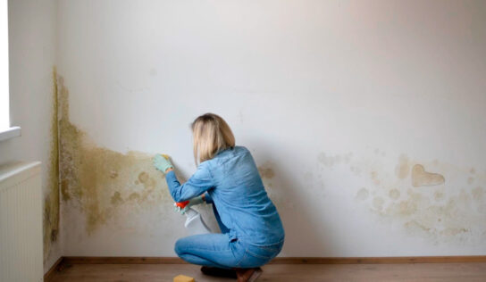 Profesionales hablan sobre le tipos de humedades en edificaciones