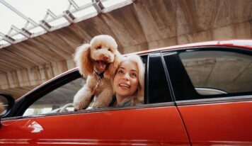 Mapfre lanza ReDrive, un nuevo servicio para operaciones de compraventa de vehículos entre particulares