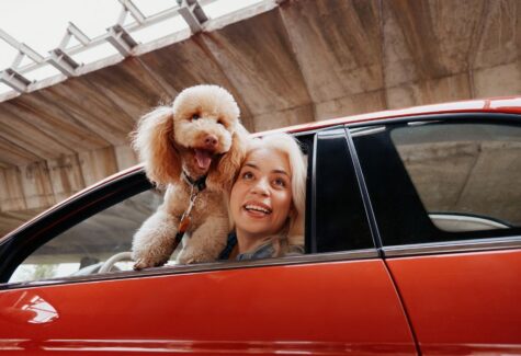 Mapfre lanza ReDrive, un nuevo servicio para operaciones de compraventa de vehículos entre particulares