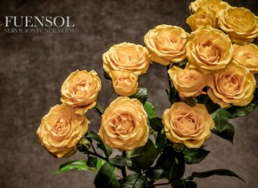 Fuensol conmemora dos décadas de trayectoria en el sector funerario con el lanzamiento de nuevos planes de planificación anticipada y renovación digital