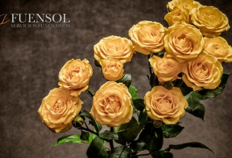 Fuensol conmemora dos décadas de trayectoria en el sector funerario con el lanzamiento de nuevos planes de planificación anticipada y renovación digital