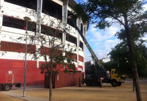 Grúas Torre del Oro lidera el sector de la elevación con soluciones especializadas para grandes montajes