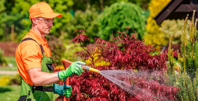 Cómo lograr jardines vibrantes todo el año: guía completa de mantenimiento Cómo lograr jardines vibrantes todo el año: guía completa de mantenimiento