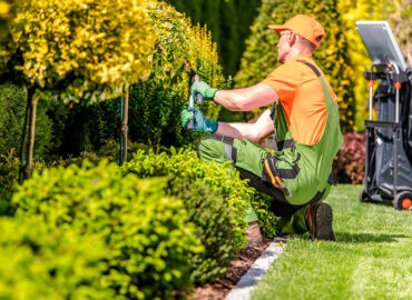 ¿Qué es el mantenimiento de jardines y por qué es crucial?