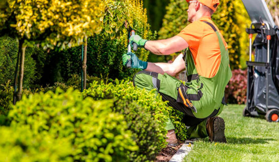 ¿Qué es el mantenimiento de jardines y por qué es crucial?