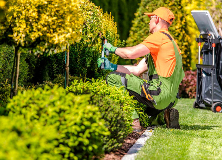 ¿Qué es el mantenimiento de jardines y por qué es crucial?