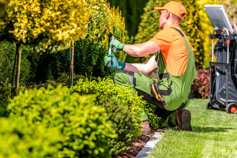 ¿Qué es el mantenimiento de jardines y por qué es crucial?