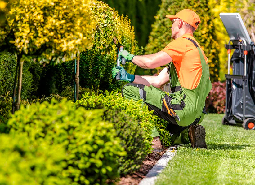 ¿Qué es el mantenimiento de jardines y por qué es crucial?