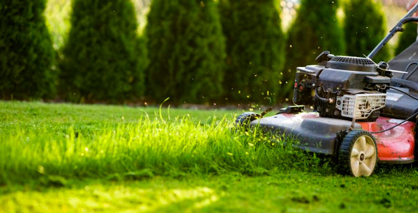 Temporadas y cuidados: adaptar cada acción Temporadas y cuidados: adaptar cada acción