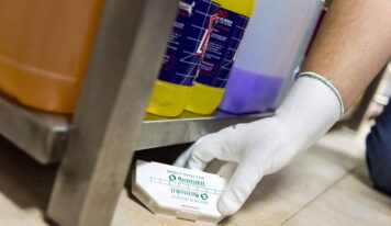 Informe Anual de Plagas Rentokil 2025: cucarachas, chinches y roedores lideran el ranking de plagas en España