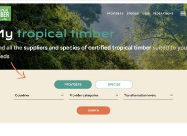 My Tropical Timber, plataforma de ATIBT para profesionales de madera tropical, logra un inicio prometedor