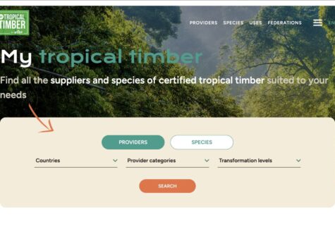 My Tropical Timber, plataforma de ATIBT para profesionales de madera tropical, logra un inicio prometedor