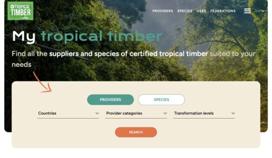 My Tropical Timber, plataforma de ATIBT para profesionales de madera tropical, logra un inicio prometedor