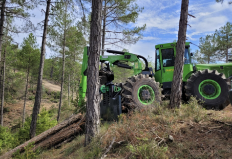 Grup Boix destaca la gestión forestal como medida clave contra los grandes incendios