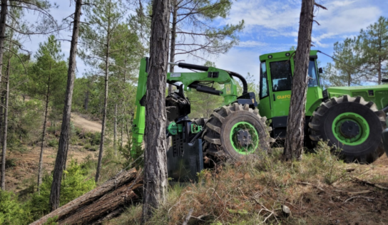 Grup Boix destaca la gestión forestal como medida clave contra los grandes incendios