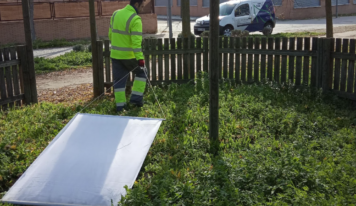 Rentokil detecta un aumento de garrapatas este verano: el calor dispara su presencia en parques, jardines y hogares